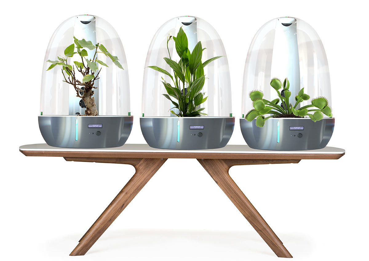 Capsule plantas